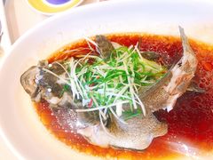 清蒸游水海石斑-南海渔村(珠江新城店)