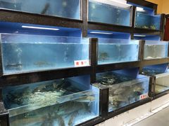 水产区-岭南海晏楼(东晓南店)
