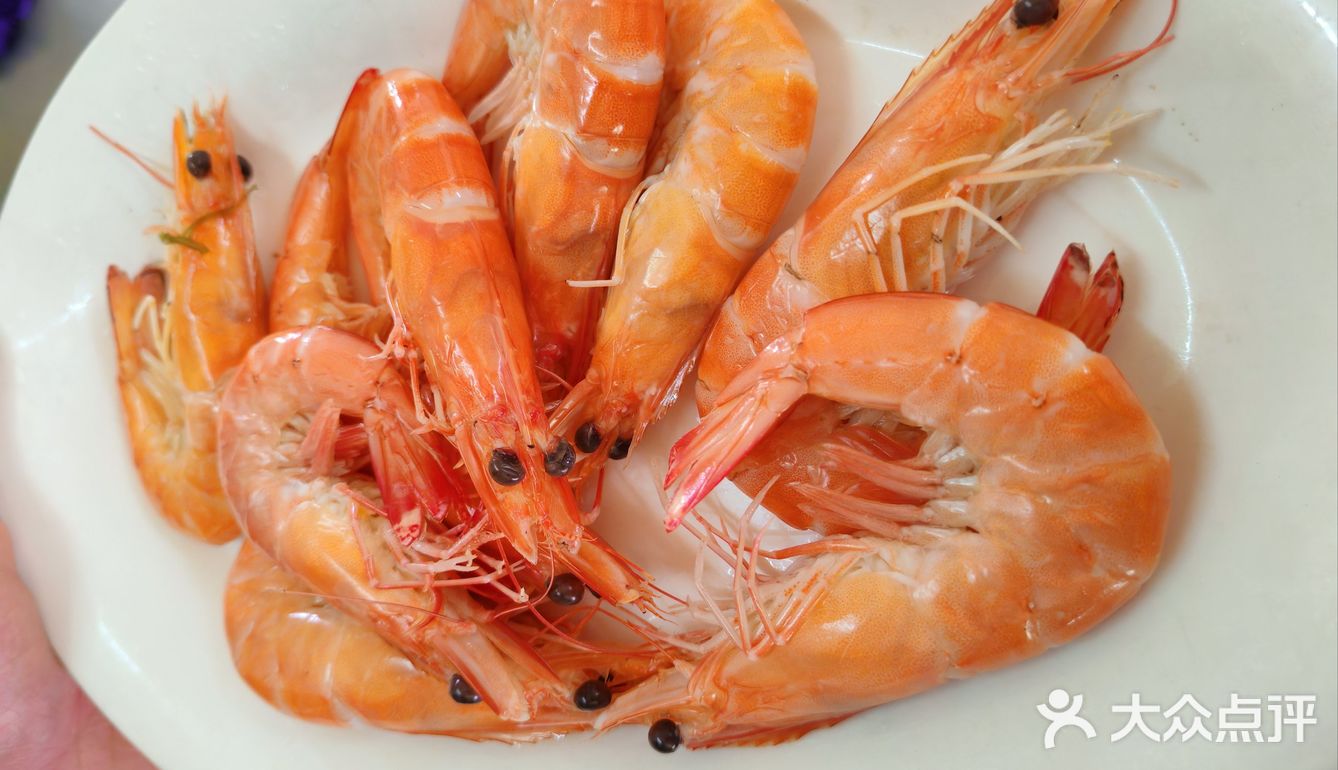 重回超绝性价比🦐🦀