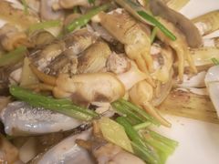 -保定会馆(秀兰店)