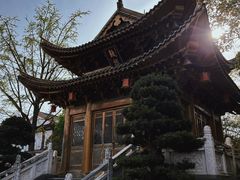 -上海东林寺(金山区)