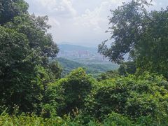 -广州市白云山风景名胜区
