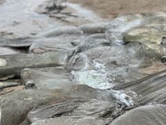 -海沧湾公园