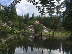 -东平国家森林公园