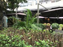 -T館·花园艺术餐厅
