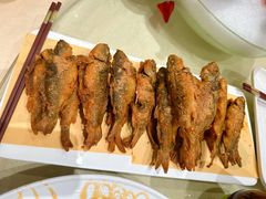 -小北江河鲜(新城店)