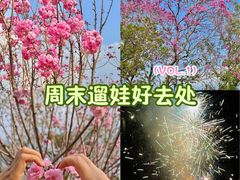 -天适樱花悠乐园