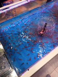 -多奇妙临沂河东吾悦乐园