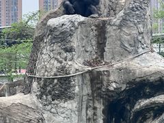 -南昌动物园
