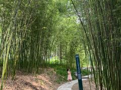 -皇家御河游(紫御湾码头)