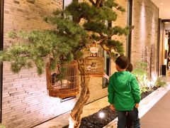 -小厨娘淮扬菜(六合欢乐港店)