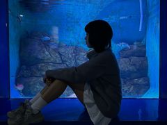 -厦门海底世界