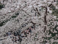 -浙江省杭州高级中学(贡院校区)