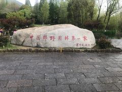 -习家池
