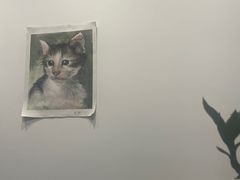 -原田新料理(1912店)