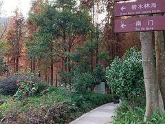 -广州市帽峰山景区