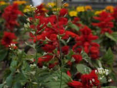 -长春公园(普阳街道)