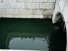 -沧州文庙