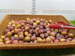 -东吴水韵(吴中店)