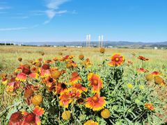 -敕勒川草原文化旅游区