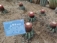 -南山植物园