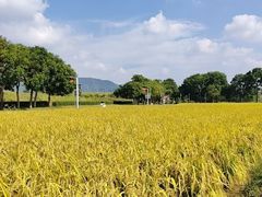 -光明小镇欢乐田园