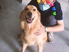 -圣宠动物医院·犬猫专科·影像中心·外科中心