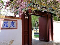 -庾园
