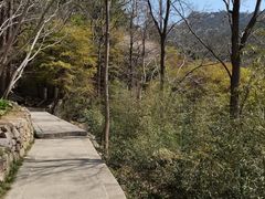 -崂山巨峰游览区