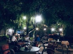 -Fern Forest Cafe