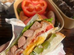 -合肥滨湖国家森林公园