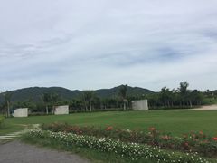 -亚龙湾国际玫瑰谷