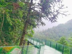 -龙井峡漂流