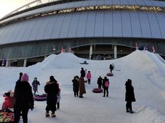 -沈阳奥体冰雪嘉年华