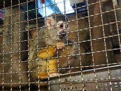 -成都浩海立方海洋公园