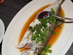 -小厨娘金榜题名(夫子庙秦淮河店)