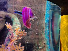 -沈阳海洋探索中心