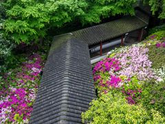 -惠山古镇·寄畅园