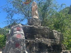 -大岭沟猕猴桃谷风景区