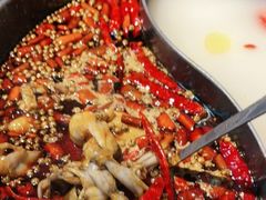 -销魂美蛙鱼头火锅(上海首店)