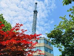 -老山国家森林公园
