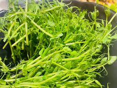 -东椰·海南椰子鸡火锅(朝阳门店)