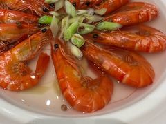 -丁老爷子苏香圆