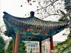 -金宫殿故址