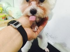 -FAELING PETS美天灵宠物(富力广场店)