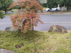 -青水瓦台汤泉(未央店)