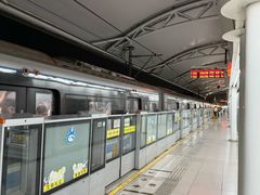 -浦江镇(地铁站)