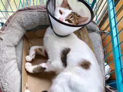 -畜牧兽医站(共江路店)