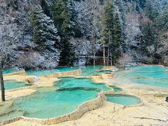-黄龙山原始森林景区