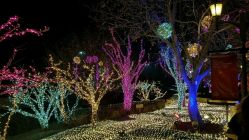 -菜百首饰(朝阳店)